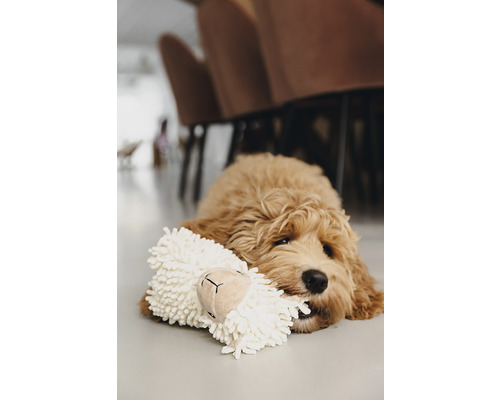 En valp ligger med en mjuk leksak på golvet.