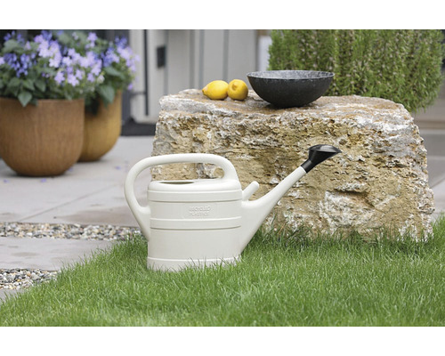 Vattenkanna av plast på gräsmatta framför sten med citron och skål