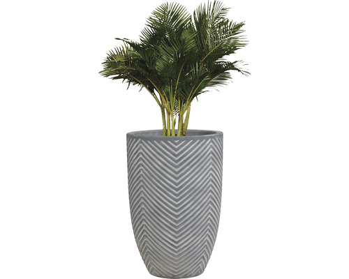 Inomhusväxt i kruka med sicksackmönster