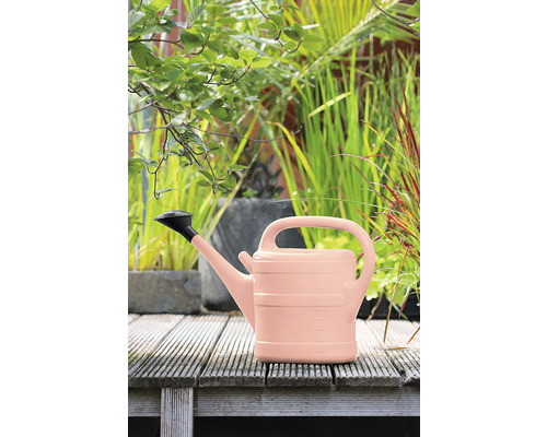 Vattenkanna på en träterrass framför växter