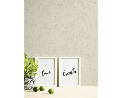 Väggdekoration med två inramade bilder och en växt