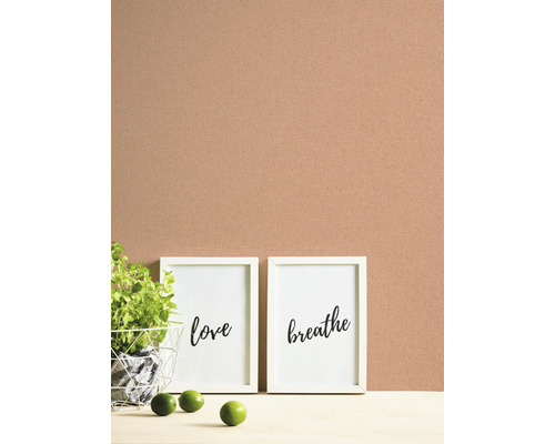 Dekorativ scen med krukväxt, två inramade bilder med inskriptionerna Kärlek och Andas och limefrukter