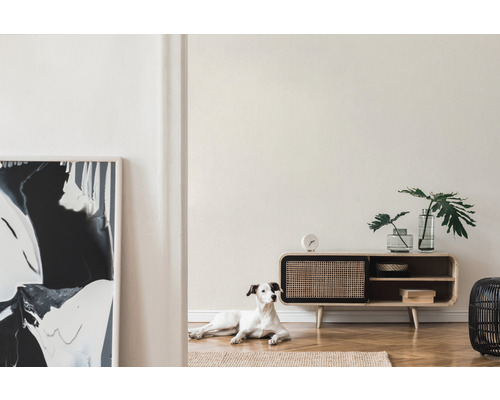 Vardagsrum med låg skänk, dekoration och hund