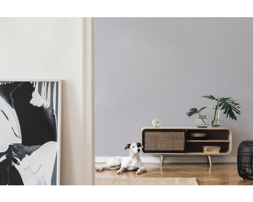 Vardagsrum med låg skänk, dekoration, målning och hund på matta