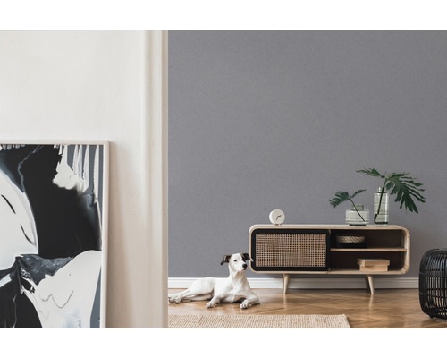 Vardagsrum med grå vägg, byrå och hund