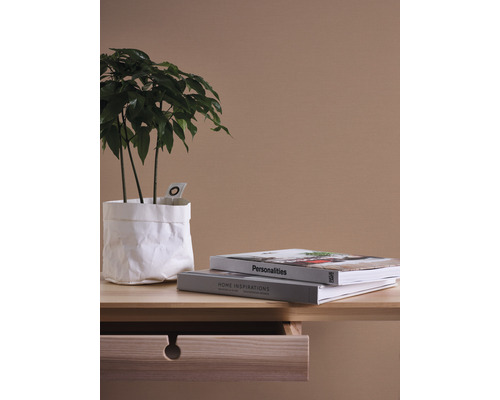 Bord med krukväxt i papperspåse och två böcker