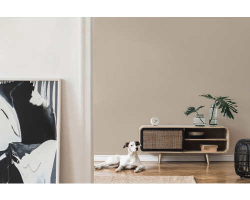 Vardagsrum med träskänk, glasvaser, krukväxt och en hund på mattan.