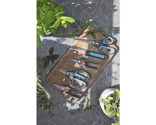 Flera trädgårdssaxar på en träbräda med örter.