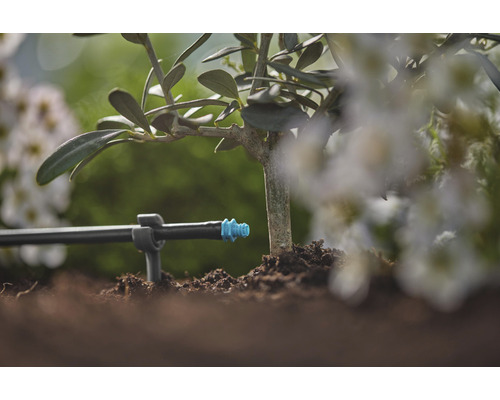 Droppbevattningssystem på en växt i trädgården