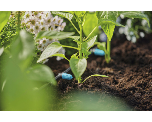 Bevattningssystem i trädgården med växter