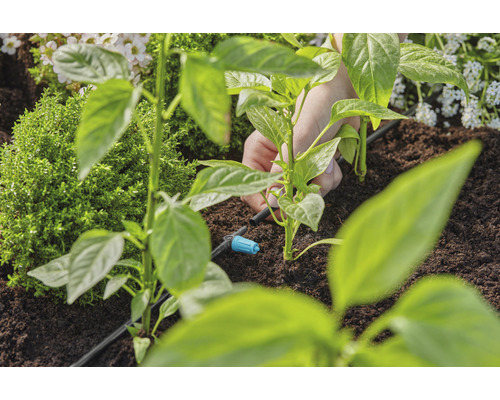 Installation av bevattningssystem för växter i trädgårdslandet