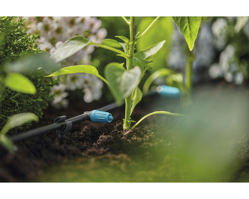 Droppbevattningssystem i trädgården med växter och blommor