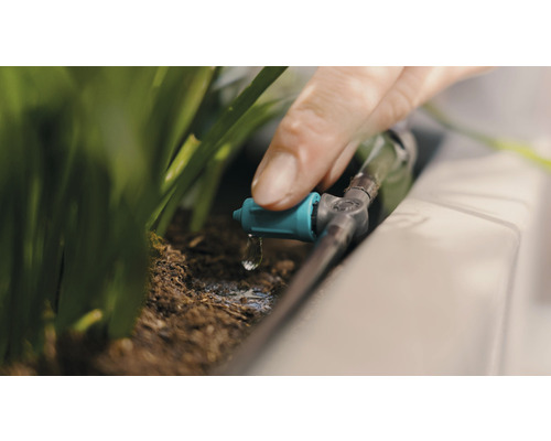 Droppbevattning som används för att vattna växter