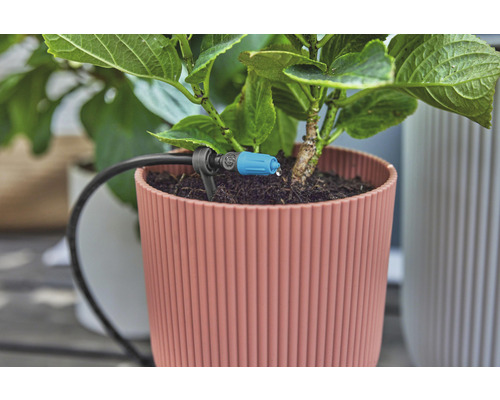 Närbild av krukväxt med bevattningssystem för krukväxter