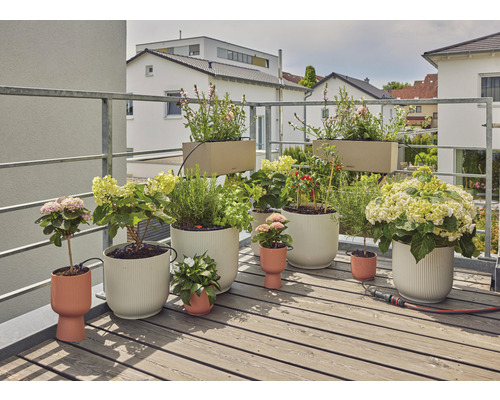 Balkongscen med olika växter och planteringskärl på ett trägolv