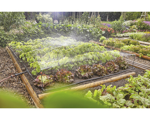 Grönsaksträdgård med bevattningssystem för växter