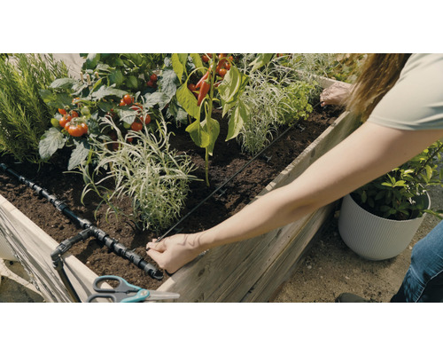 Pallkrage med grönsaker och bevattningssystem