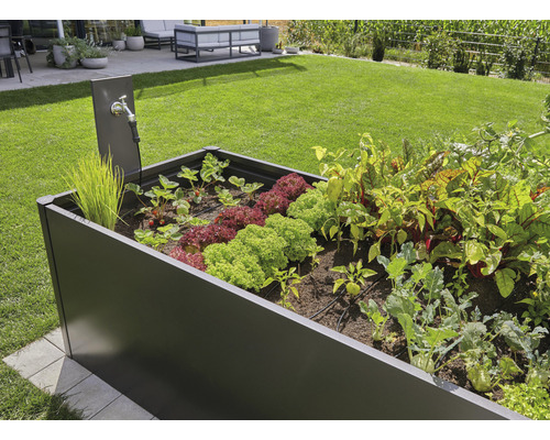 Upphöjd rabatt med olika grönsaker och vattenkran i trädgården.