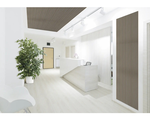 Ljus mottagningsrum med träpaneler i tak och på vägg, receptionsdisk och kontorsväxt