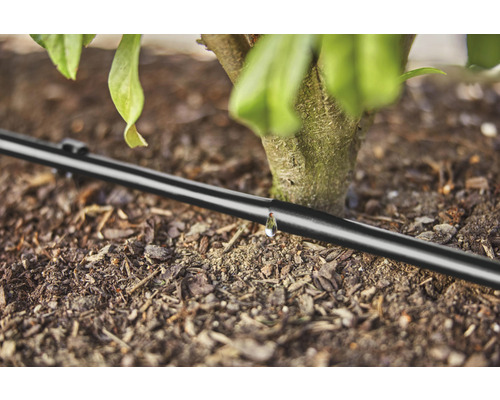 Droppslang för bevattning av växter i trädgården.