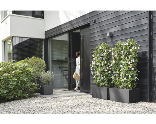 Entré till ett hus med blomlådor och grusgång