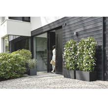 Blomkruka ELHO Vivo Next plast 60x30x29cm svart