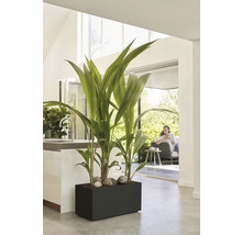 Blomkruka ELHO Vivo Next plast 60x30x29cm svart