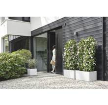 Exteriör av ett modernt hus med blomlådor och en kvinna vid dörren