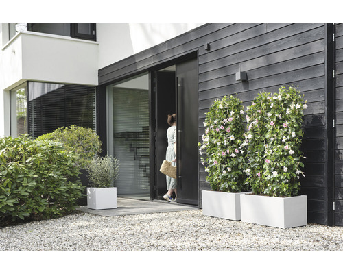 Exteriör av ett modernt hus med blomlådor och en kvinna vid dörren