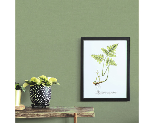 Scen med växt i kruka och inramad växtbild på väggen