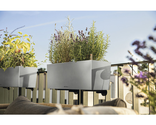 Balkongscen med örter och växter i en grå blomlåda med fäste