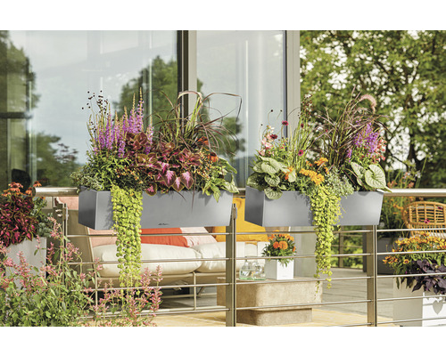 Två grå blomlådor på balkongräcket med olika blommor och växter.