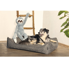 Hund i hundsäng med sengångare plyschdjur