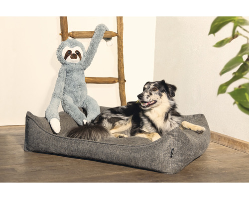 Hund i hundsäng med sengångare plyschdjur