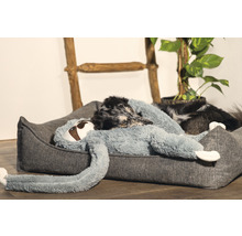 Hund ligger i en grå hundsäng med en mjukdjur av en sengångare.