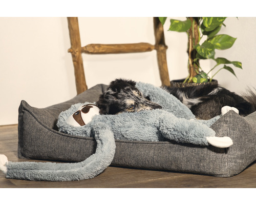 Hund ligger i en grå hundsäng med en mjukdjur av en sengångare.