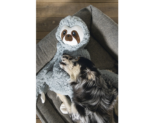 Hund vilar med en sengångarhundleksak på en hundsäng.