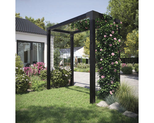 Träpergola med växter i trädgården