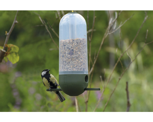 Fågel på en fågelmatare i trädgården