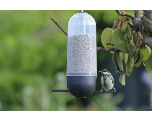 Fågelmatare med solrosfrön och en mes
