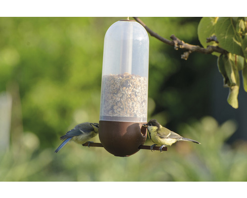 Fågelmatare med två fåglar