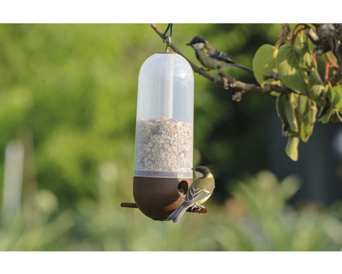 Fågelmatare med foder och två mesar