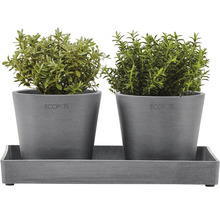 Krukfat ECOPOTS 25x15x2,5cm grå
