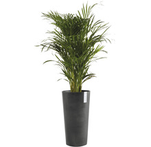 Blomkruka ECOPOTS Amsterdam Ø34x66cm mörkgrå