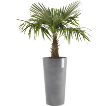 Blomkruka ECOPOTS Amsterdam Ø34x66cm grå
