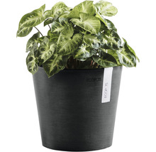 Blomkruka ECOPOTS Amsterdam Mini Ø17x15cm mörkgrå