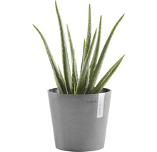 Blomkruka ECOPOTS Amsterdam Mini Ø17x15cm grå