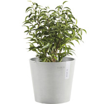 Blomkruka ECOPOTS Amsterdam Mini Ø17x15cm vitgrå