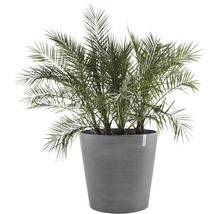 Blomkruka ECOPOTS Amsterdam med hjul Ø60x56cm grå