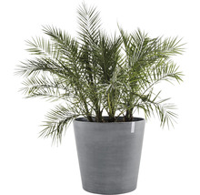 Blomkruka ECOPOTS Amsterdam med hjul Ø80x75cm grå